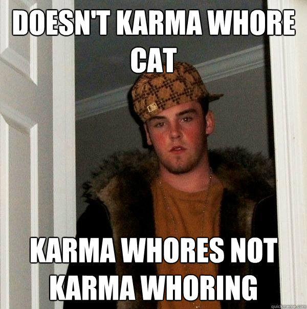doesn't karma whore cat karma whores not karma whoring - doesn't karma whore cat karma whores not karma whoring  Scumbag Steve