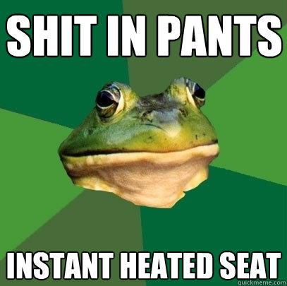 shit in pants instant heated seat  Foul Bachelor Frog