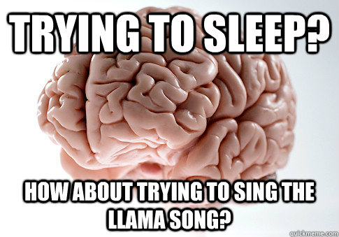 trying to sleep? how about trying to sing the llama song?  Scumbag Brain