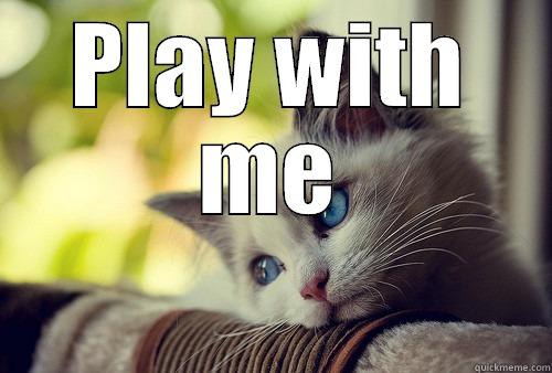 PLAY WITH ME  First World Problems Cat