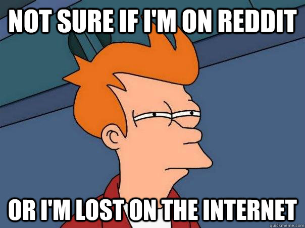 not sure if I'm on reddit or I'm lost on the internet - not sure if I'm on reddit or I'm lost on the internet  Futurama Fry