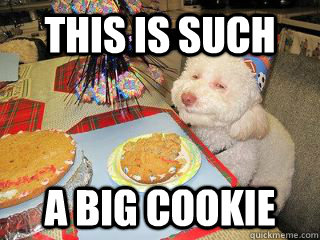 This is such A Big cookie - This is such A Big cookie  High Birthday Dog