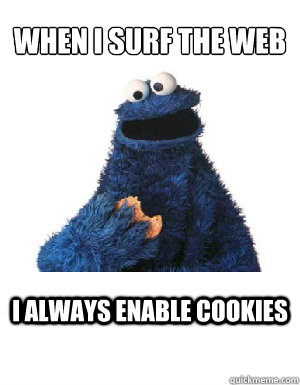 WHEN I SURF THE WEB I ALWAYS ENABLE COOKIES  Cookie Monster