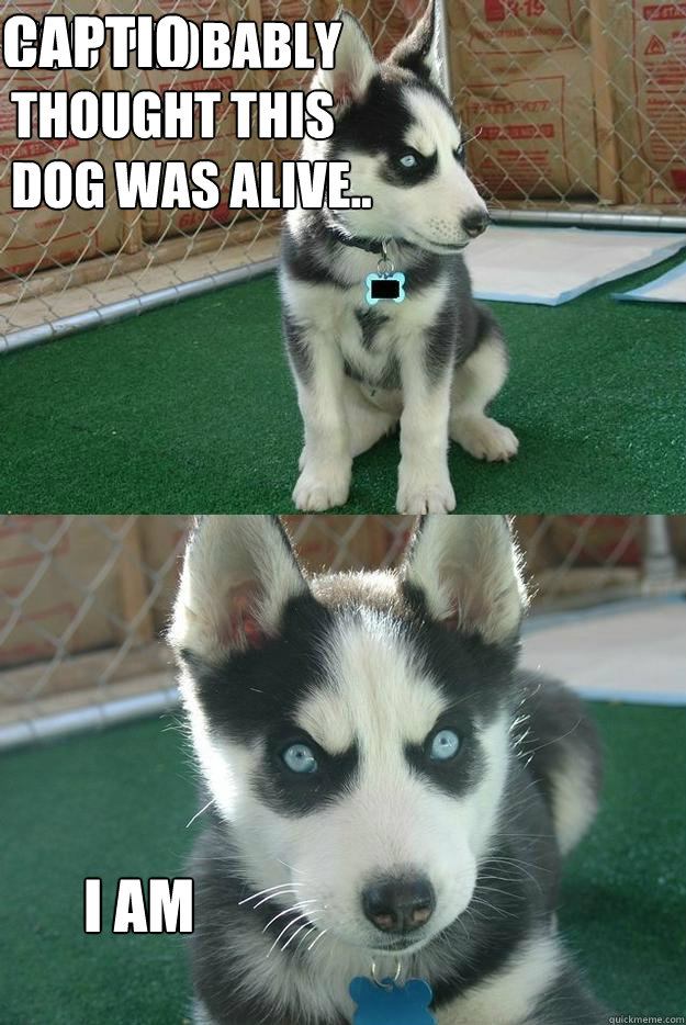You Probably thought this dog was alive.. I am Caption 3 goes here  Insanity puppy