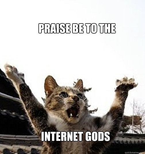        praise be to the INTERNET GODS -        praise be to the INTERNET GODS  praise cats