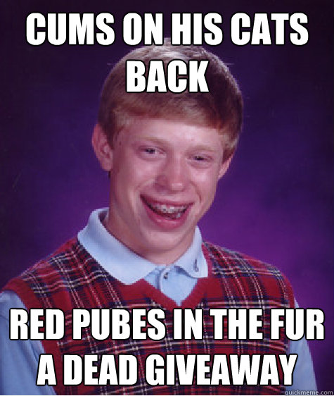 cums on his cats bACK RED PUBES IN THE FUR A DEAD GIVEAWAY  Bad Luck Brain