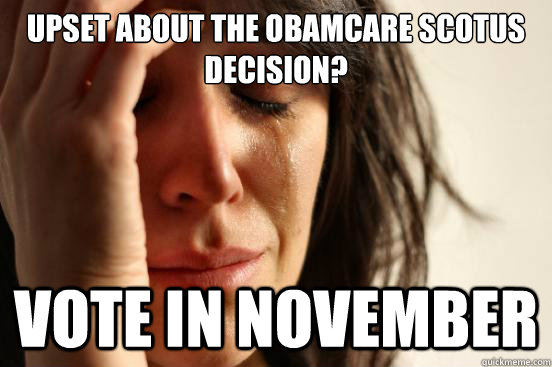 Upset about the Obamcare SCOTUS decision? Vote in November  First World Problems