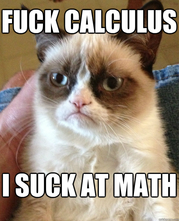 FUCK CALCULUS I SUCK AT MATH  Grumpy Cat