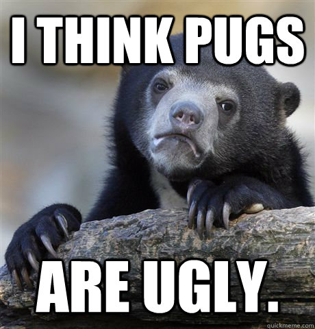 I THINK PUGS ARE UGLY.  Confession Bear