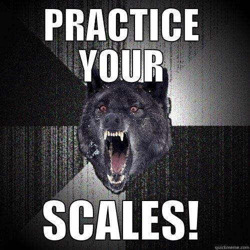 music meme - PRACTICE YOUR SCALES! Insanity Wolf