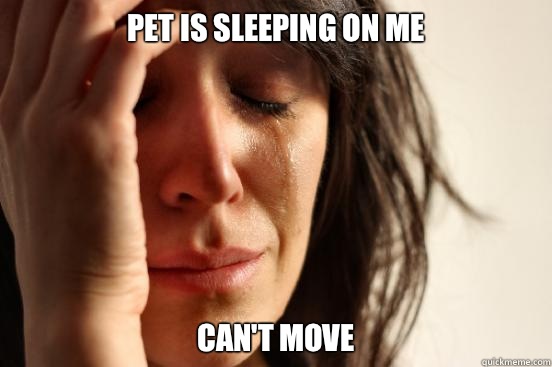Pet is sleeping on me Can't move  First World Problems