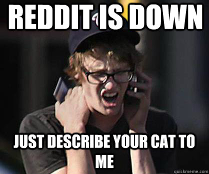 reddit is down just describe your cat to me - reddit is down just describe your cat to me  Sad Hipster