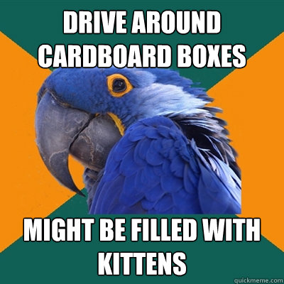 Drive around cardboard boxes might be filled with kittens  Paranoid Parrot