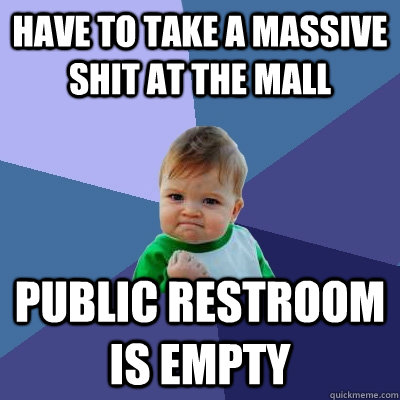 Have to take a massive shit at the mall Public restroom is empty  Success Kid
