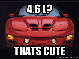 4.6 l? Thats cute - 4.6 l? Thats cute  WS6 Trans Am