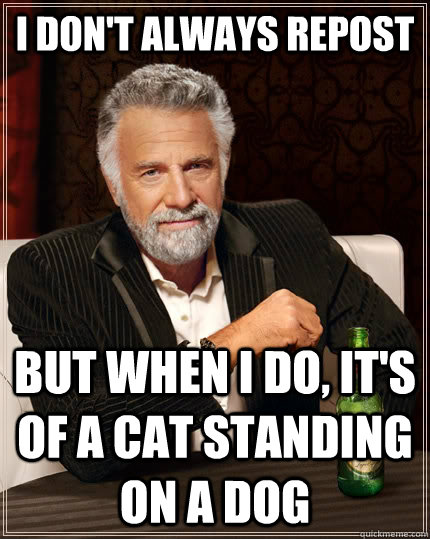 I don't always repost but when I do, it's of a cat standing on a dog  The Most Interesting Man In The World