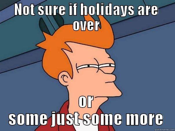 NOT SURE IF HOLIDAYS ARE OVER OR SOME JUST SOME MORE Futurama Fry