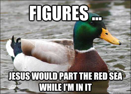 figures ... jesus would part the red sea while i'm in it  Actual Advice Mallard