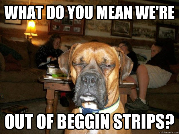 what do you mean we're out of beggin strips? - what do you mean we're out of beggin strips?  10 Dog