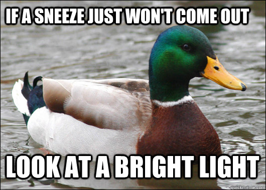 If a sneeze just won't come out Look at a bright light  Actual Advice Mallard