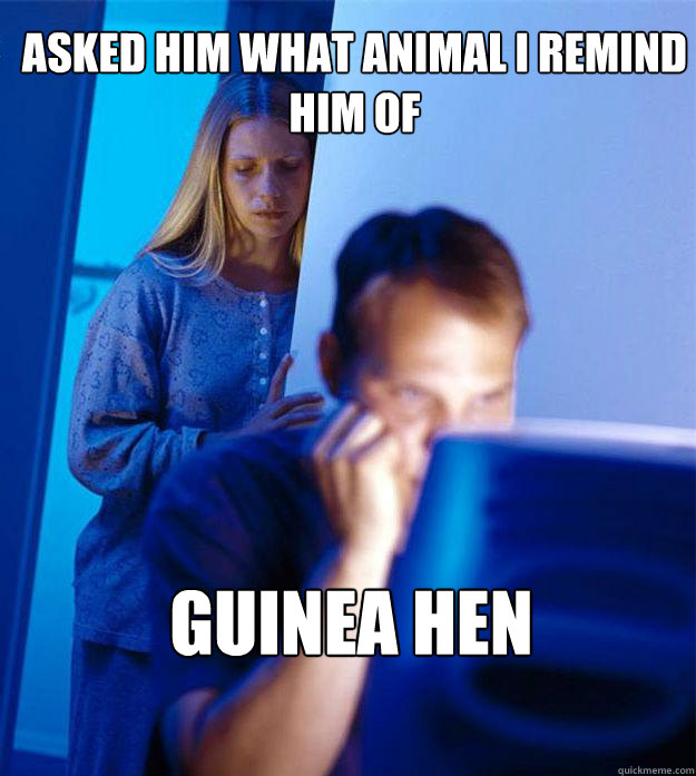 Asked him what animal I remind him of Guinea Hen  Redditors Wife