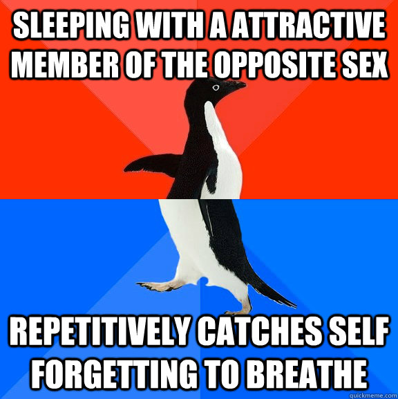 Sleeping with a attractive member of the opposite sex Repetitively catches self forgetting to breathe    Socially Awesome Awkward Penguin