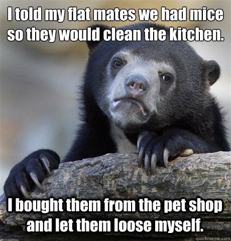 I told my flat mates we had mice so they would clean the kitchen. I bought them from the pet shop and let them loose myself.   Confession Bear