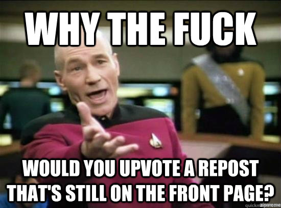 Why the fuck would you upvote a repost that's still on the front page?  Annoyed Picard HD