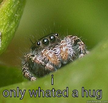  I ONLY WHATED A HUG Misunderstood Spider