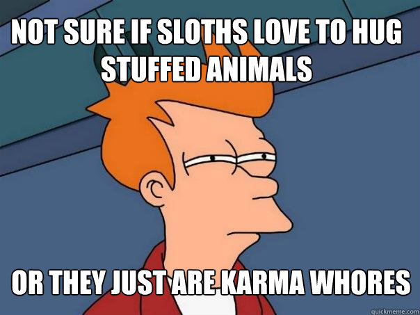 not sure if sloths love to hug stuffed animals or they just are Karma whores  Futurama Fry