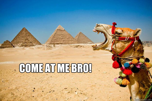 Come At Me Bro!  