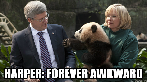  Harper: Forever awkward -  Harper: Forever awkward  harper forever awkward
