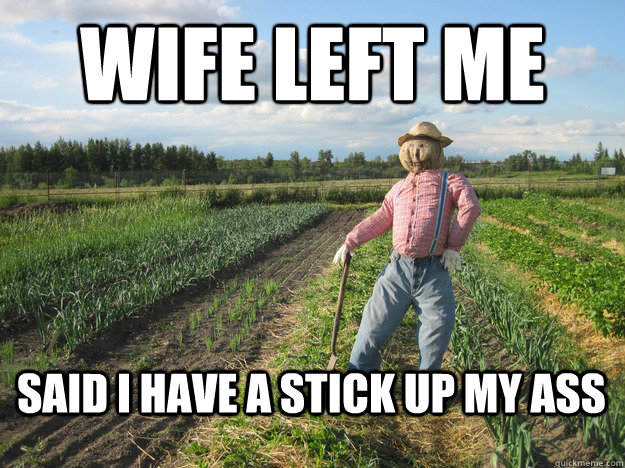 Wife left me said i have a stick up my ass - Wife left me said i have a stick up my ass  Scarecrow