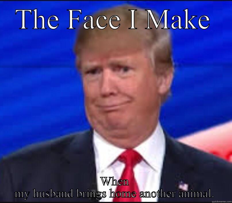 THE FACE I MAKE WHEN MY HUSBAND BRINGS HOME ANOTHER ANIMAL. Misc