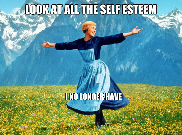 Look at all the self esteem I no longer have - Look at all the self esteem I no longer have  Sound of Music- Election