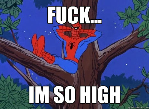 Fuck... IM so high  Spider man