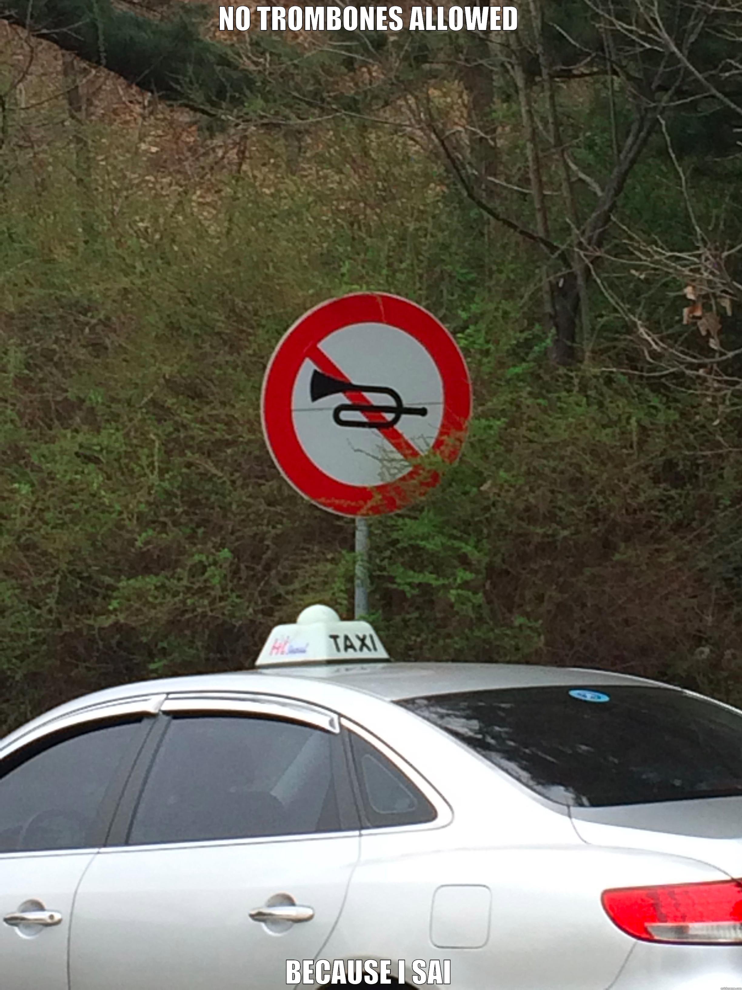 NO TROMBONES ALLOWED BECAUSE I SAID SO Misc