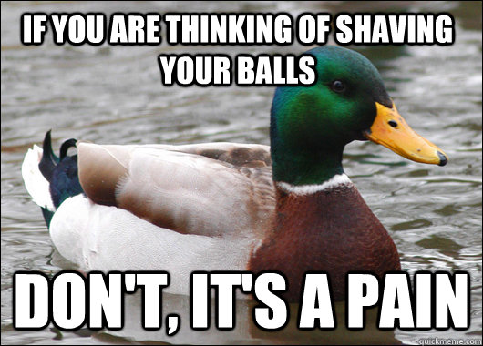 If you are thinking of shaving your balls Don't, it's a pain  Actual Advice Mallard