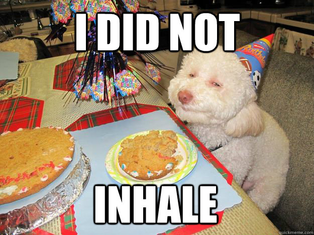 I DID NOT INHALE  Stoned Birthday Dog