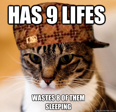 Has 9 lifes Wastes 8 of them sleeping  Scumbag Cat