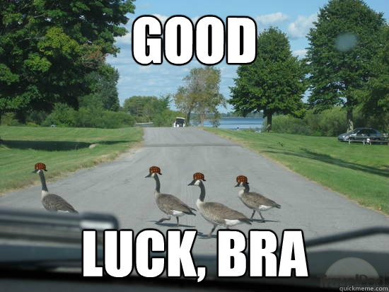 Good Luck, bra  Scumbag Geese