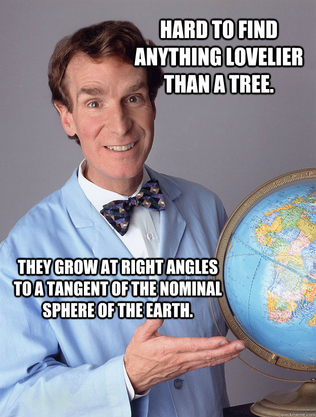 Hard to find anything lovelier than a tree.  They grow at right angles to a tangent of the nominal sphere of the Earth.   Bill Nye