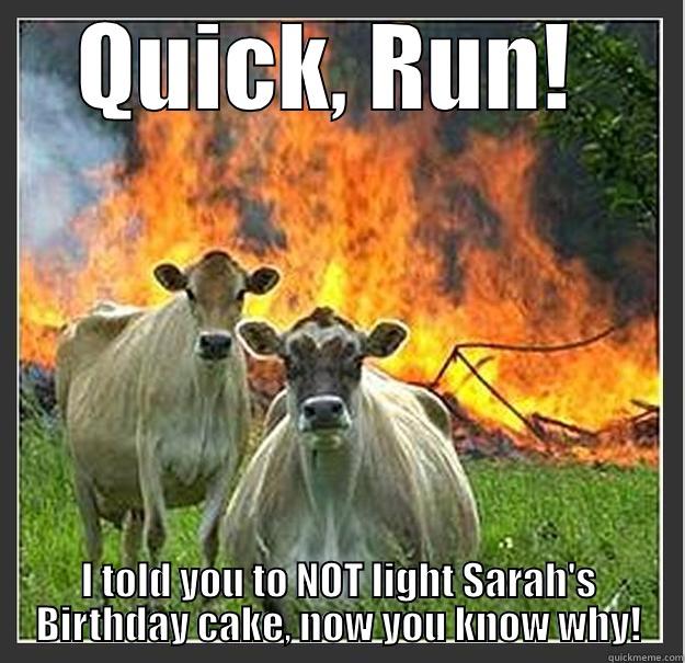 QUICK, RUN!  I TOLD YOU TO NOT LIGHT SARAH'S BIRTHDAY CAKE, NOW YOU KNOW WHY! Evil cows