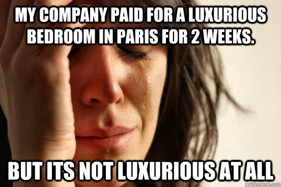 My company paid for a luxurious bedroom in Paris for 2 weeks. But its not luxurious at all  First World Problems