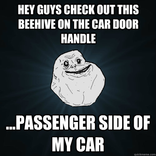 hey guys check out this beehive on the car door handle ...passenger side of my car  Forever Alone