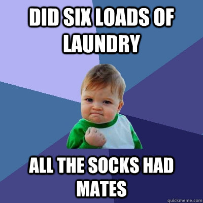 Did six loads of laundry All the socks had mates  Success Kid