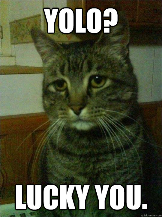 YOLO? Lucky you. - YOLO? Lucky you.  Misc