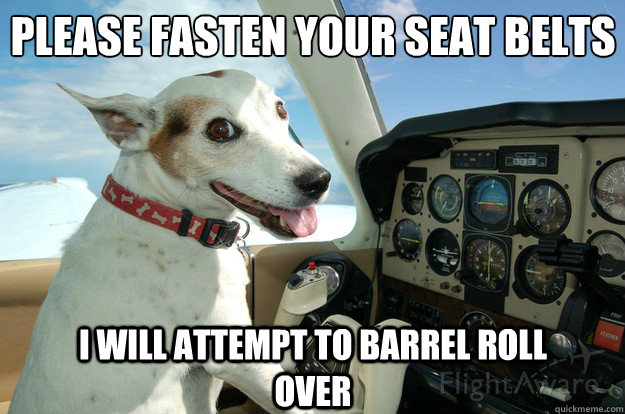 please fasten your seat belts  i will attempt to barrel roll over - please fasten your seat belts  i will attempt to barrel roll over  Pilot Dog
