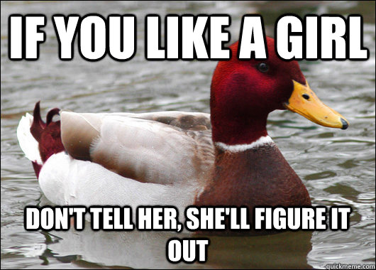 If you like a girl don't tell her, she'll figure it out  Malicious Advice Mallard