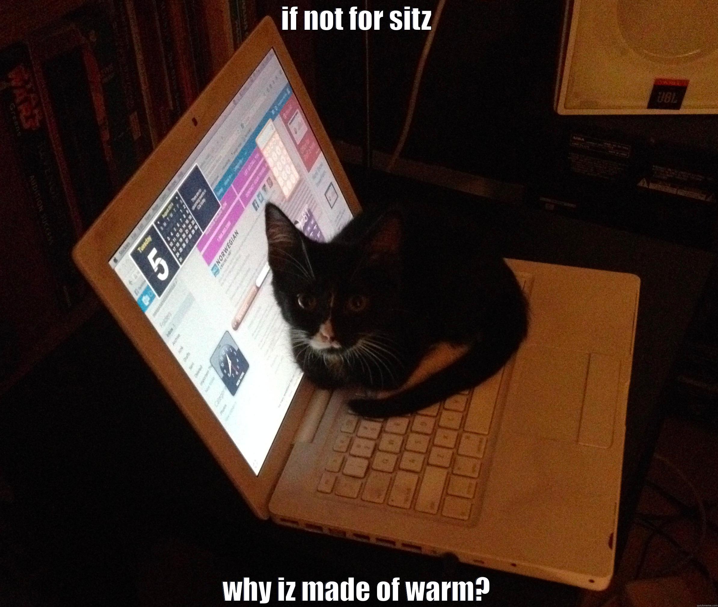 IF NOT FOR SITZ WHY IZ MADE OF WARM? Misc